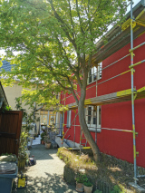 Der Efeu musste weichen, aber jetzt kann sich die Fassade in ihrer ganzen roten Schönheit zeigen