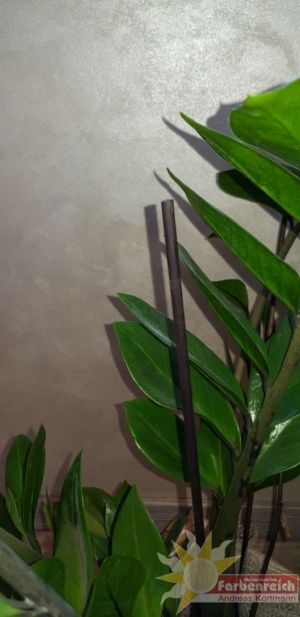 A122-Art-Veluto